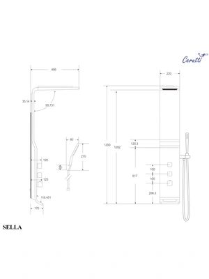 Ceruttispa SELLA B CT8989