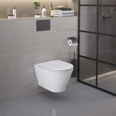 Ambassador Elysium 183K19002RS (520*360*355) подвесной безободковый, 2 места