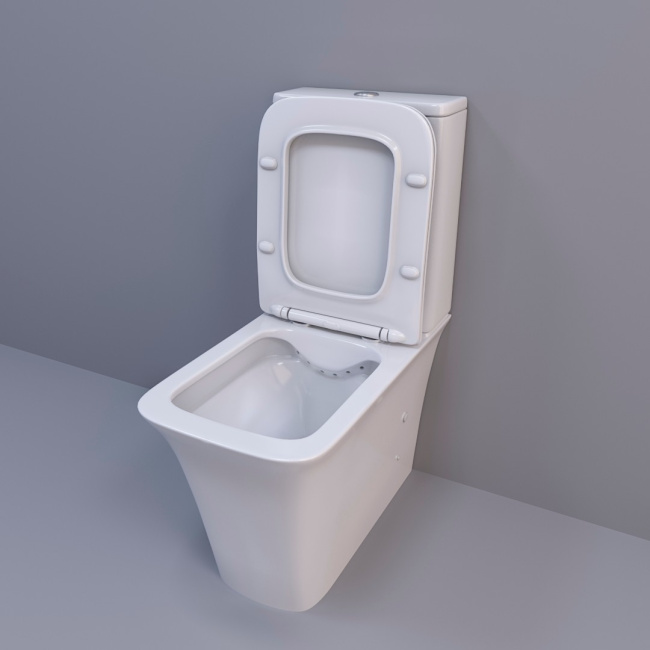 Ceruttispa Arno CT7838