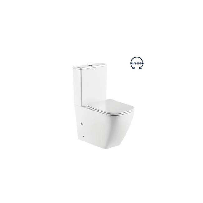 Ceruttispa Mimi CT8707