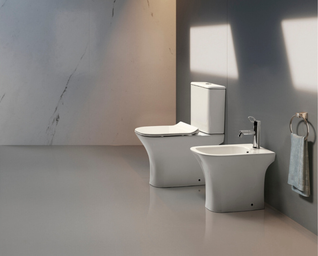 Ceruttispa Vettore CT7192