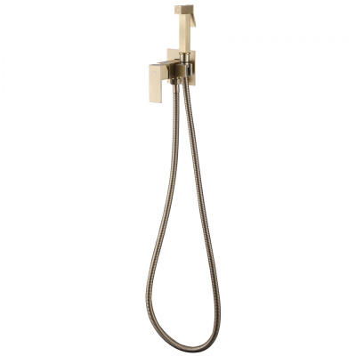 ABBER Daheim AF8226G с гигиеническим душем, золото матовое